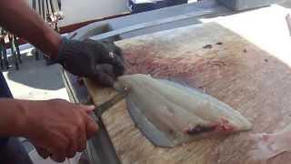 How to skin a fluke fish by Rob from the Sea Queen VII