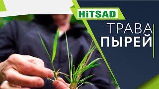 Как навсегда избавиться от травы Пырей ️ Советы огородникам от Хитсад ТВ