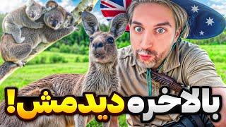 Australia 8 !حیوونایی که فقط تو استرالیا میشه دید