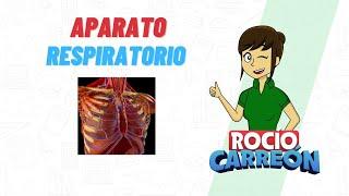 Aparato Respiratorio