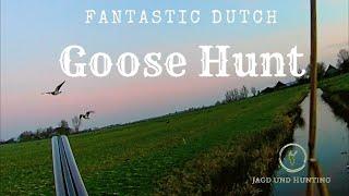 Fantastic Dutch Goose hunt,