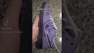 my dhgate sb dunks worst to best 