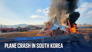 At least 151 people killed as plane crashes while landing at South Korea airport