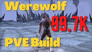 ESO - Werewolf PVE Build (99,7k) - Flames of Ambition