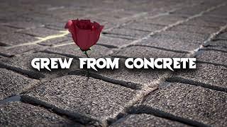 Dancehall Riddim Instrumental 2023 ~ "Grew From Concrete"  | (Prod. syko)