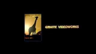 Кинокомпания Giraffe Videoworks