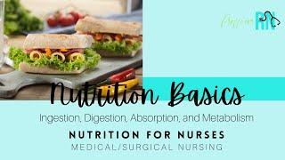 Nutrition Basics for Nurses / FREE Study Guide! / INCLUDES practice questions w/rationale!