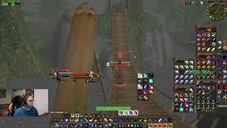 Classic WoW: Hunter vs Bloodlord Mandokir Solo (76min Version)