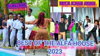 BEST OF THE ALFA HOUSE TIKTOK COMPILATION 2023 (Part 2) #theealfahouse