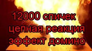 12000 спичек цепная реакция эффект домино