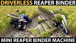 Driverless REAPER BINDER MACHINE Harvesting Paddy / Rice | Automatic Mini Reaper Binder Machine