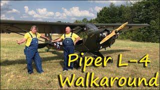 Newly-restored 1946 Piper L-4 Grasshopper Walk Around