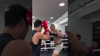 Boxer goes toe-to-toe with UFC champ Alex Pereira during a South Korea gym session  #Boxing #MMA