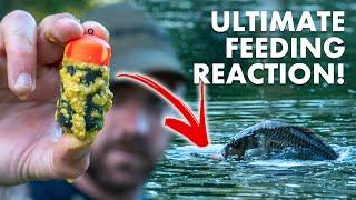 Floating Feeder Fishing - Drive The FISH WILD!