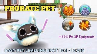 Toram Online - Full Guide to Develop Prorate Support Pet & Easy Pet Leveling Spot Lv.1 - Lv.295