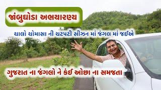 જાંબુઘોડા | પંચમહાલ | ગુજરાત | જંગલ માં મંગલ