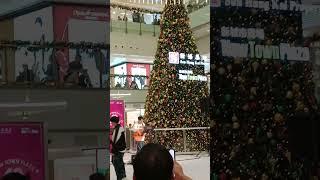 Live concert | Joolees Vlog | #concert #shorts #shortsfeed #christmastree #mall #christmas #noel