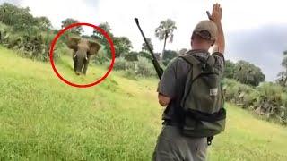 30 Times African Safari Trips Went Horribly Wrong (Part 2)