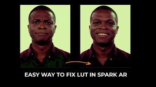 Fix Lut artifacts in Spark AR