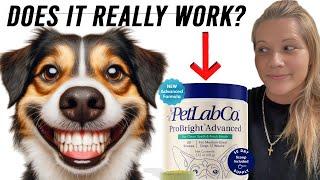 (HONEST REVIEW) PetLab ProBright Advanced/Dental Powder For Dogs! Does It Really Work?