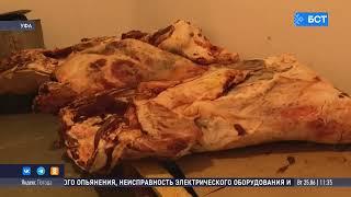 В Башкирии специалисты рассказали, какие продукты опаснее всего покупать на улице