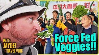 CHINA is Running out of Vegetables!!! | China Life VLOG