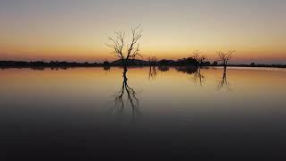 Drone Sunrise with Trees in the Water - Free Nature Stock Video Footage.