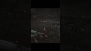 Big WTF Moment #rdr2 #funnymoments #gamefails