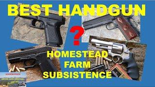 BEST HANDGUN for Homestead/Farm/Subsistence!