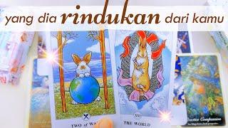 Yang Dia Rindukan Dari Kamu (So Sweet)  Jurnal Infinity - Tarot Cinta Terbaru - Ramalan Cinta Tarot