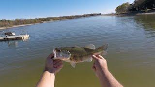 Core Tackle Swim Jig Review! Paired It Up With A 3 Inch Lunker City Karate Craw!