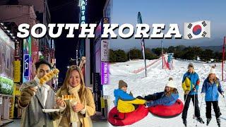 KOREA TRAVEL GUIDE 2023: Myeongdong Street Food | Sledding and Skiing at Vivaldi Park | PART 1