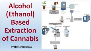 Alcohol Ethanol Based Extraction of Cannabis