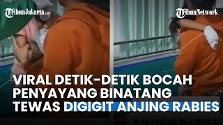 Pilu! Detik-detik Bocah Penyayang Binatang Tewas Digigit Anjing Rabies, Sang Anak Sempat Berontak