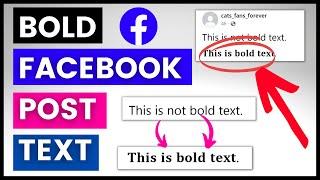 How To Bold Text On A Facebook Post? [in 2024]