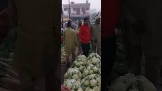 Faridkot fruit market price today// Sikander rajput 1/6 November 2023