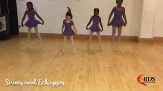 Sautes and Echappes Primary Ballet