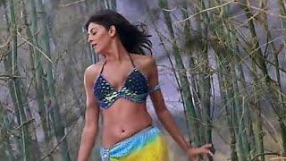 Sushmita Sen Song | Tumhe Jo Maine Dekha | Main Hoon Na | Shahrukh Khan | Romantic Song