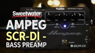 Ampeg SCR-DI - Bass Preamp with Scrambler Overdrive Pedal Demo