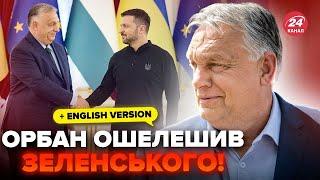 ️Щойно! Орбан запропонував "припинення вогню" Зеленському. Реакція президента