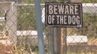 Brutal dog attack critically injures man, injures mother and child