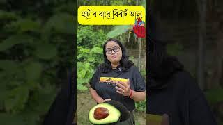 Avocado benefits || Ponkhi Sharma #healthbenefits #healthtips #assamesenews #trending #assamese