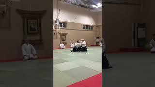 Mustafa Aygün Shihan Aikikai 7th Dan #shorts