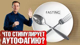 Аутофагию запускает не только голодание. А что же?