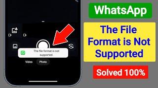 WhatsApp The File Format is Not Supported | How to Fix The File Format is Not Supported Problem