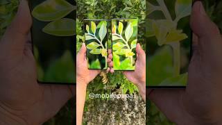 Realme 12 pro plus vs Samsung S23 ultra Camera Comparison  #shorts #realme12proplus #s23ultra