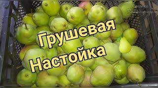 Грушевая настойка - вкусная настойка на сочной груше 