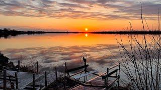 春回大地 万物复苏 ｜Morning Relaxing Piano Music with Birds Chirping