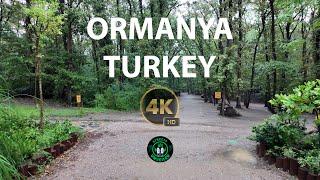 [4K] Ormanya, Turkey | A wonderful #relaxing #meditation #naturewalk on a #rainyday #Ormanya forest