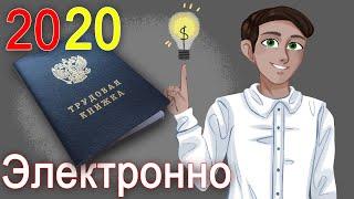 Электронная трудовая книжка 2020. Что нужно знать Работодателям и Сотрудникам?